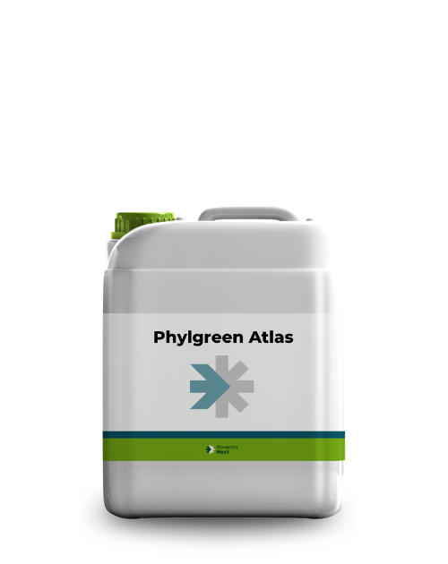 Phylgreen atlas_5L_website