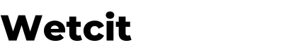 Wetcit logo