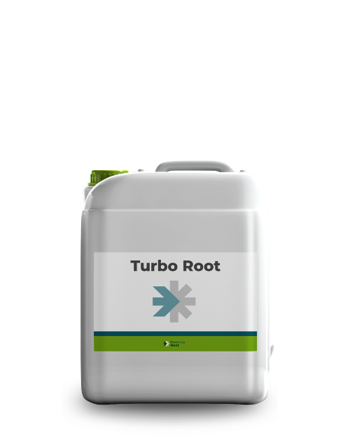Turbo Root_10L_website