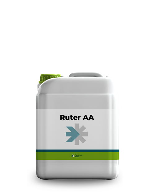 Ruter AA_10L_website