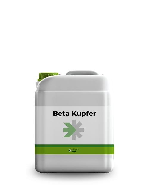 BetaKupfer_5L_website