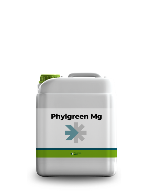 Phylgreen Mg 5L