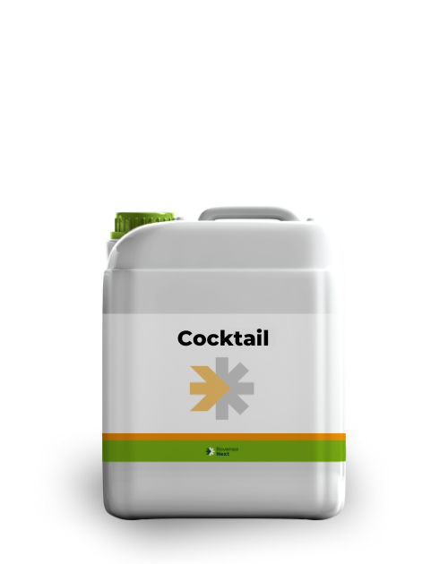 Cocktail DE 5 L